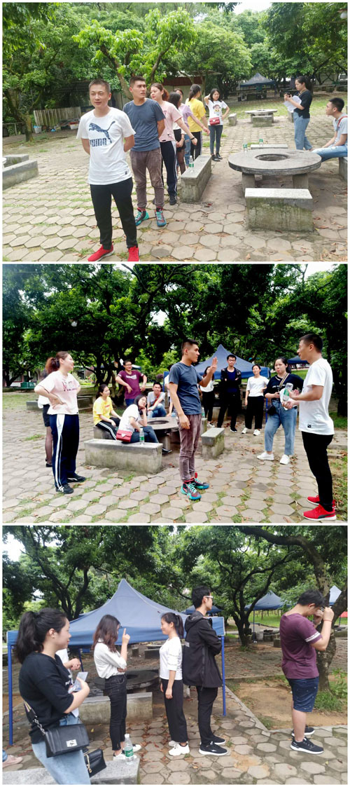 益智燒腦游戲 益智燒腦游戲