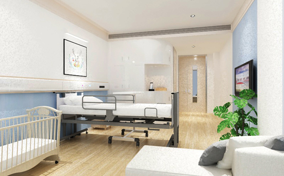 老人電動(dòng)護(hù)理床 老人電動(dòng)護(hù)理床