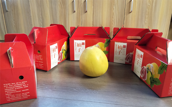 廣東電動護理床廠家 廣東電動護理床廠家